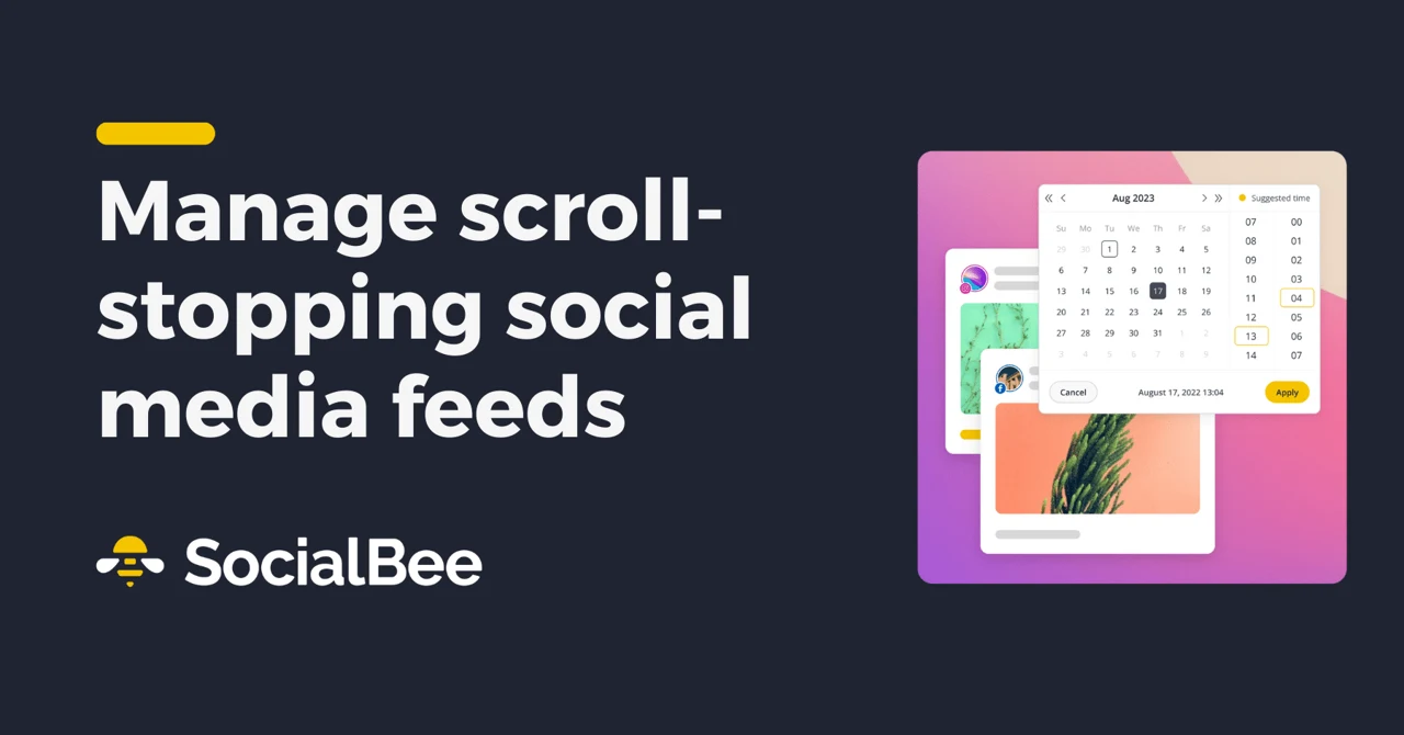 SocialBee official product image