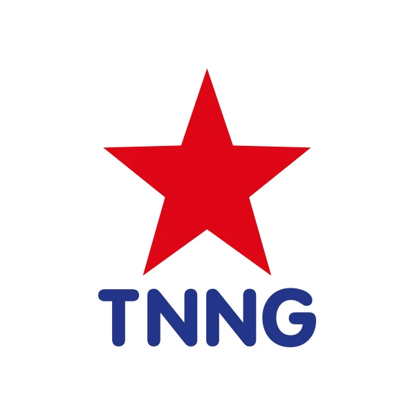 The No Nonsense Group logo