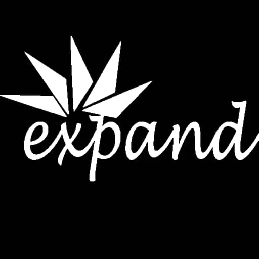 Think Expand logo
