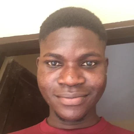 Adebisi Adeleke Oluwagbenga portrait