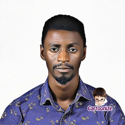 Ayodele Ogunkanmi portrait