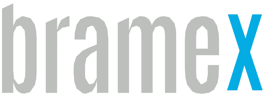 Bramex Solutions logo