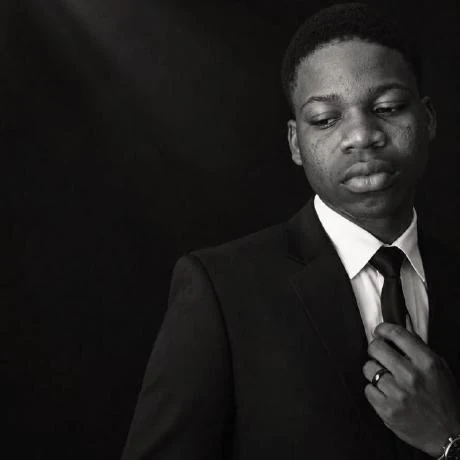 Ma'mun Omolaja portrait
