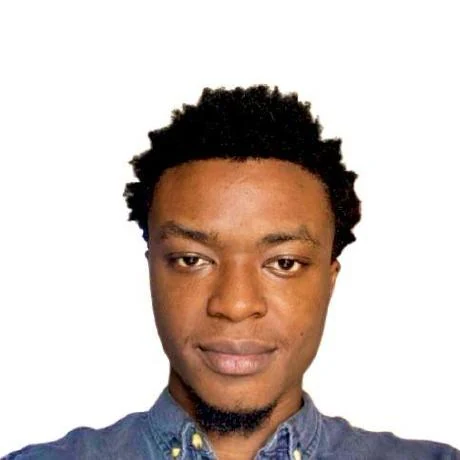 Moyin Odumewu portrait