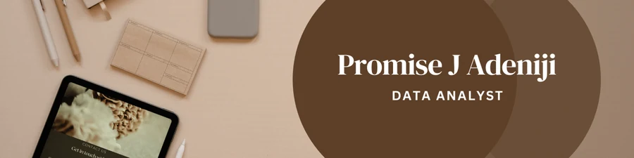 Promise Adeniji — official profile artwork