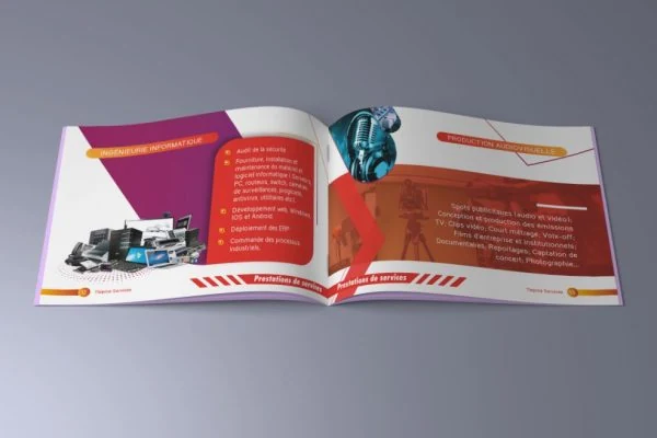 Tlepma Consulting — official profile artwork