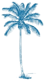 Tropicode logo