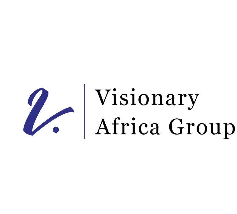 Visionary Africa Group logo
