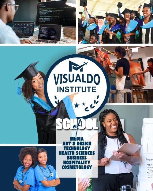 Visualdo Institute — official profile artwork